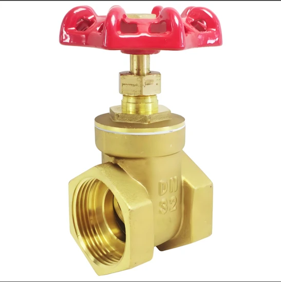 Special Gate Valve for Confidential Projects Stainless Steel Alloy Steel Lomu Steel Special Gate Valve for Confidential Projects Stainless Steel Alloy Steel Lomu Steel