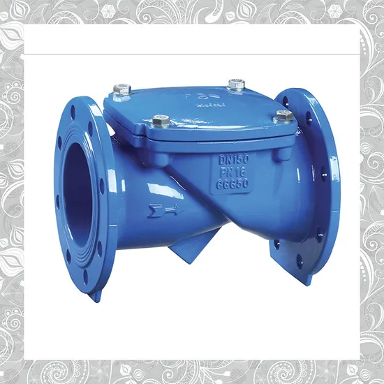 Wholesale Non Return Valve Custom Stainless Steel Swing Check Valve Wholesale Non Return Valve Custom Stainless Steel Swing Check Valve