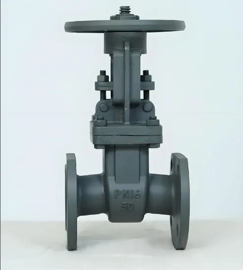 Flanged Gate Valve Convenient for Installation and Construction in Tanzania, Africa Flanged Gate Valve Convenient for Installation and Construction in Tanzania, Africa
