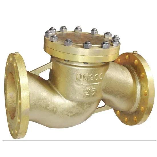 Customizable Anti-Backflow Valve Low Resistance Check Gate Valve for Water Customizable Anti-Backflow Valve Low Resistance Check Gate Valve for Water