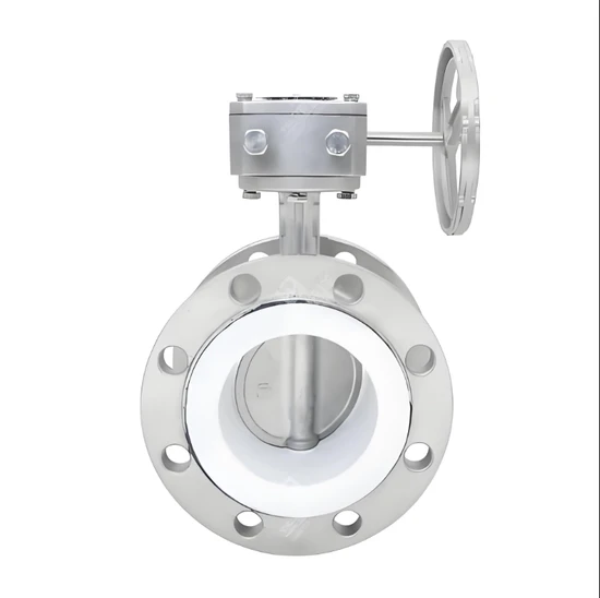 Premium Stainless Steel Butterfly Valve with Hard Seal Design Premium Stainless Steel Butterfly Valve with Hard Seal Design