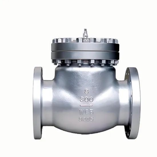 Cast Stainless Steel Double Flange Wear-Resistant Check Valve Flame Arrester Cast Stainless Steel Double Flange Wear-Resistant Check Valve Flame Arrester