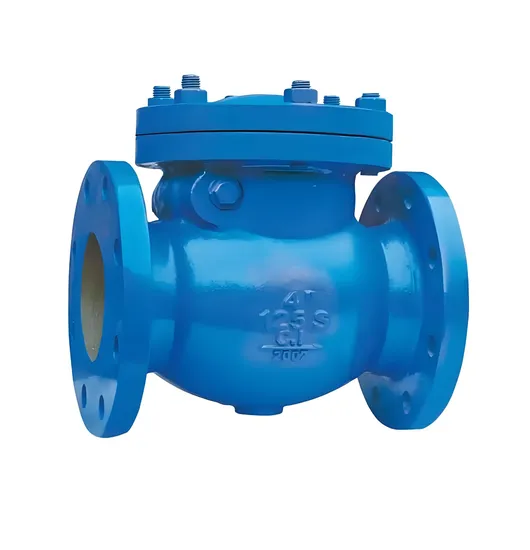 Vertical Cast Iron Check Valve for Water, Oil, Steam and Nitric Acid Vertical Cast Iron Check Valve for Water, Oil, Steam and Nitric Acid