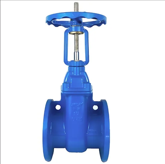 Flanged Gate Valve Convenient for Installation and Construction in Tanzania, Africa Flanged Gate Valve Convenient for Installation and Construction in Tanzania, Africa