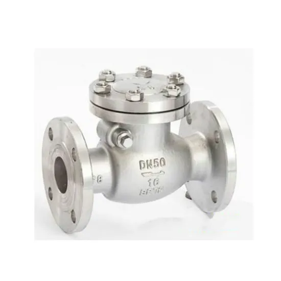 High Quality Stainless Steel Water and Fuel Systems Check Valve High Quality Stainless Steel Water and Fuel Systems Check Valve