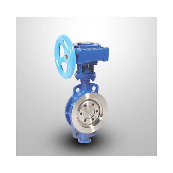 High-Quality Stainless Steel Hard-Sealed Butterfly Valve with Hard Seal High-Quality Stainless Steel Hard-Sealed Butterfly Valve with Hard Seal