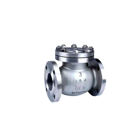 High Quality Stainless Steel Water and Fuel Systems Check Valve High Quality Stainless Steel Water and Fuel Systems Check Valve