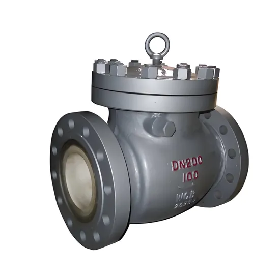 Spherical Carbon Steel Stainless Steel Cast Iron Check Valve/Natural Gas/Food/Medicine Spherical Carbon Steel Stainless Steel Cast Iron Check Valve/Natural Gas/Food/Medicine