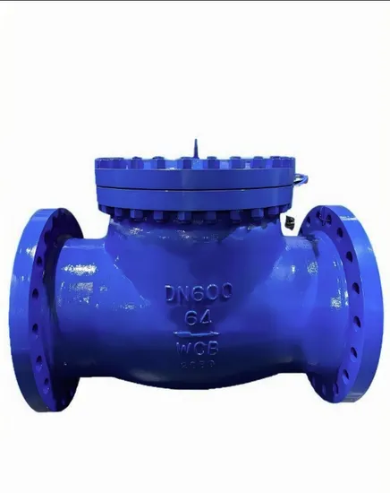 Titanium Dual-Phase Steel Nickel Pickaxe Corrosion-Resistant and Wear-Resistant Check Valve Titanium Dual-Phase Steel Nickel Pickaxe Corrosion-Resistant and Wear-Resistant Check Valve