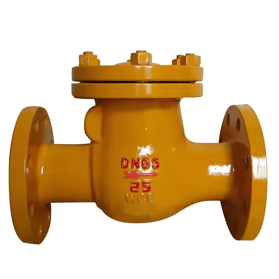 Nitric Acid Swing Flange One-Way Backflow Check Valve Nitric Acid Swing Flange One-Way Backflow Check Valve