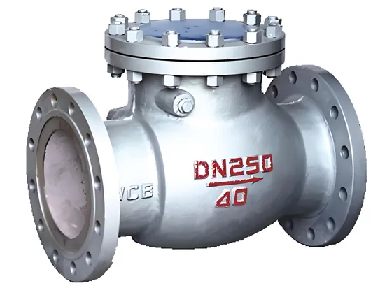 Vertical Cast Iron Check Valve for Water, Oil, Steam and Nitric Acid Vertical Cast Iron Check Valve for Water, Oil, Steam and Nitric Acid