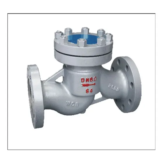 Customizable Anti-Backflow Valve Low Resistance Check Gate Valve for Water Customizable Anti-Backflow Valve Low Resistance Check Gate Valve for Water