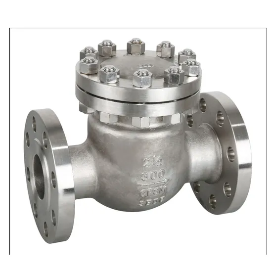 Factory Manufacture Check Valves Stainless Steel Non Return Valve Factory Manufacture Check Valves Stainless Steel Non Return Valve