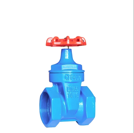 Jiangsu Nanjing Large-Diameter Gate Valves for Coal and Nuclear Energy Jiangsu Nanjing Large-Diameter Gate Valves for Coal and Nuclear Energy