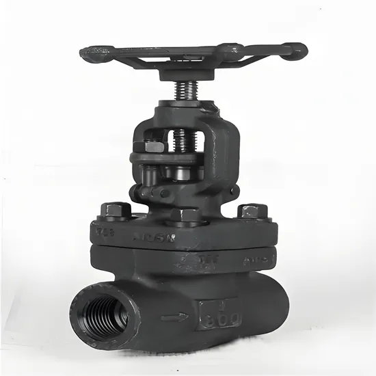 DIN Parabolic Bellows Y-Type Direct-Flow Globe Valve Wj45W/H DIN Parabolic Bellows Y-Type Direct-Flow Globe Valve Wj45W/H