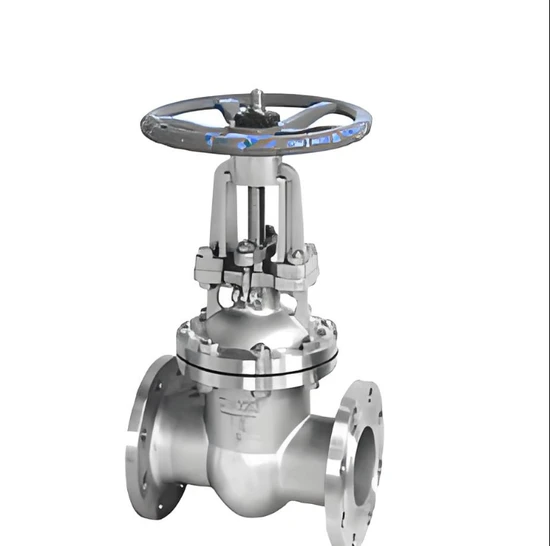 Special Gate Valve for Confidential Projects Stainless Steel Alloy Steel Lomu Steel Special Gate Valve for Confidential Projects Stainless Steel Alloy Steel Lomu Steel