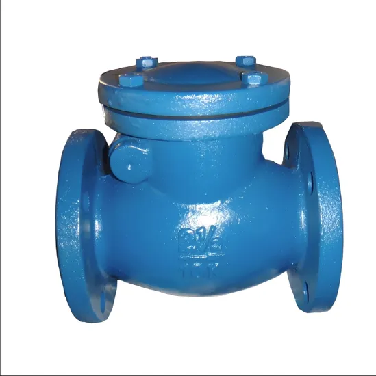 Thread A105 Lift Inspection High Temperature Check Valve Thread A105 Lift Inspection High Temperature Check Valve