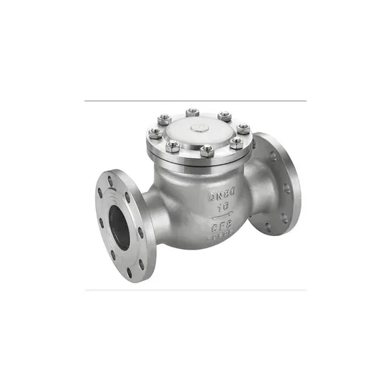 High Quality Stainless Steel Water and Fuel Systems Check Valve High Quality Stainless Steel Water and Fuel Systems Check Valve