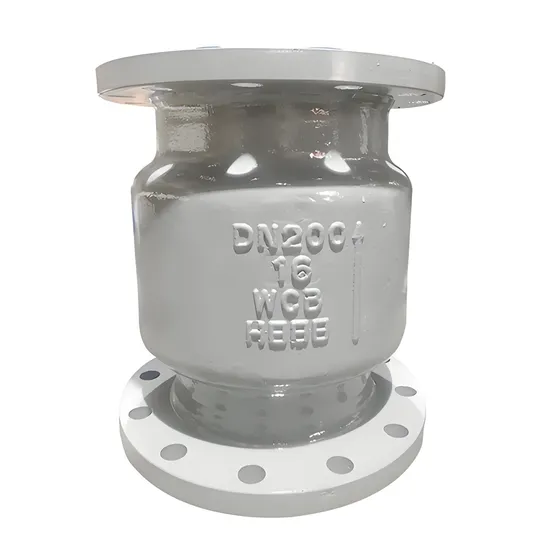 Nodular Cast Iron Carbon Steel Rubber Controlled Tap Water Check Valve Nodular Cast Iron Carbon Steel Rubber Controlled Tap Water Check Valve
