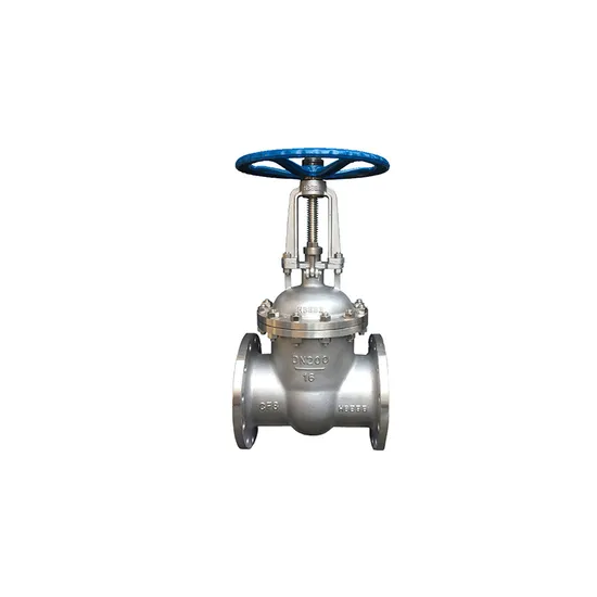Customizable High-Temperature Resistant Steel Gate Valve for Industrial Processes Customizable High-Temperature Resistant Steel Gate Valve for Industrial Processes