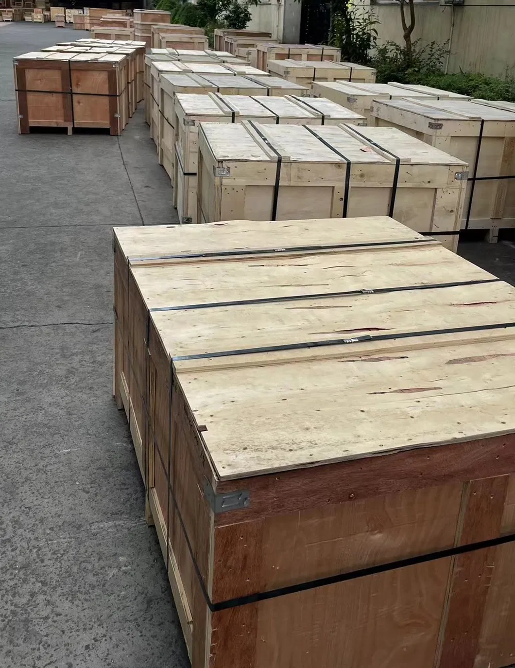 Flange Wedge, High Pressure, Large Diameter, 1 Year Warranty