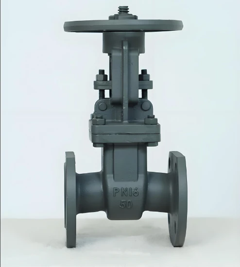 High Quality and Large Diameter Forged Cast Steel Flange Gate Valve for Nuclear Power High Quality and Large Diameter Forged Cast Steel Flange Gate Valve for Nuclear Power
