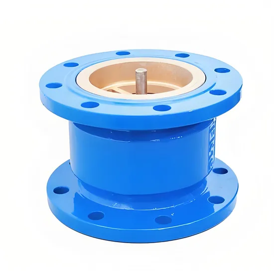 Vertical Cast Iron Check Valve for Water, Oil, Steam and Nitric Acid Vertical Cast Iron Check Valve for Water, Oil, Steam and Nitric Acid