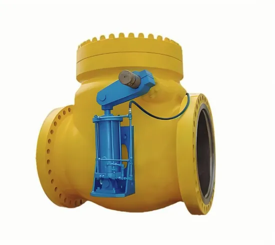 Lifting Horizontal Bronze Food Industry Check Valve Is Used for Steam/Gas. Lifting Horizontal Bronze Food Industry Check Valve Is Used for Steam/Gas.