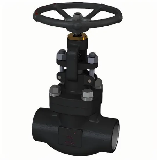 Fluorine-Lined Forged Steel Vacuum High-Pressure Flange Globe Valve J41W/H/Y Fluorine-Lined Forged Steel Vacuum High-Pressure Flange Globe Valve J41W/H/Y