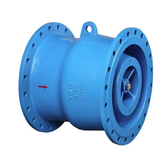 Customizable Anti-Backflow Valve Low Resistance Check Gate Valve for Water Customizable Anti-Backflow Valve Low Resistance Check Gate Valve for Water