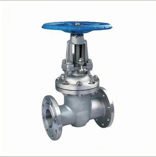 Large Diameter High Pressure Flange Wedge with Customized Support Options Large Diameter High Pressure Flange Wedge with Customized Support Options