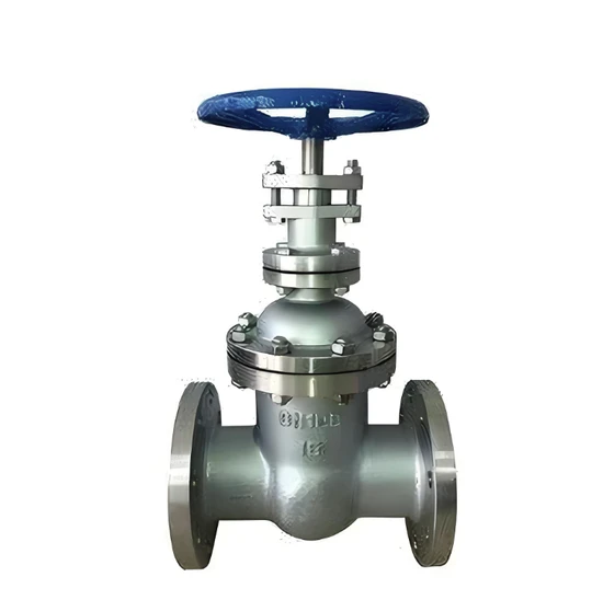Large Diameter Flange Wedge, High Pressure, OEM/ODM Support Available Large Diameter Flange Wedge, High Pressure, OEM/ODM Support Available