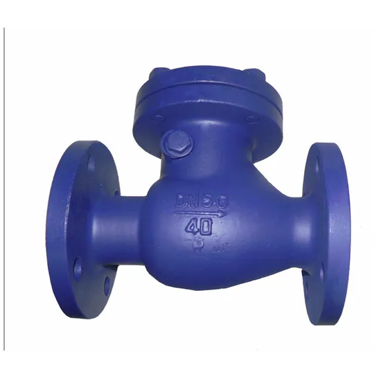 Factory Manufacture Check Valves Stainless Steel Non Return Valve Factory Manufacture Check Valves Stainless Steel Non Return Valve