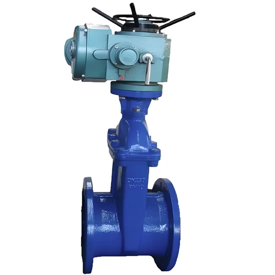 High Pressure Flange Wedge, Large Diameter, Customized Support Available High Pressure Flange Wedge, Large Diameter, Customized Support Available
