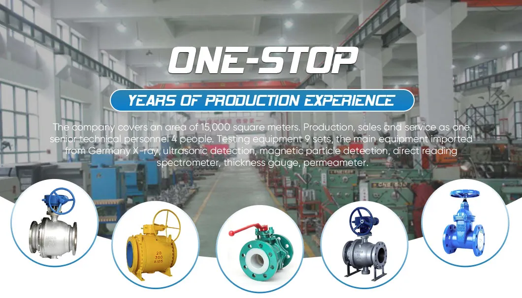 High Performance Butterfly Valve Hard-Sealed Butterfly Valve for Flow Control