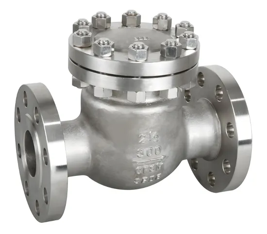 Titanium Duplex Steel Nickel Pick 904L 316L Butterfly Check Valve
