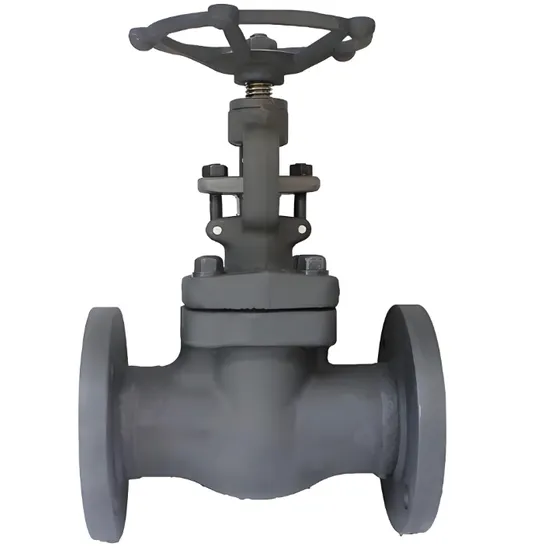 Angle Valve of Discharge Valve Is Engaged with Stainless Steel and Carbon Steel Manual Side Opening Globe Valve.