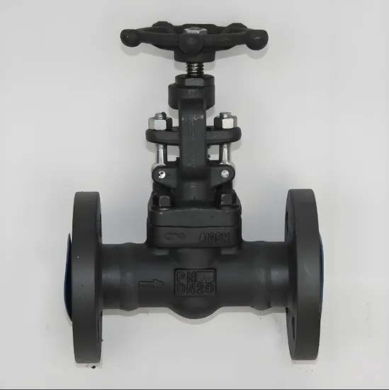 Low Temperature Resistant Forged Stainless Steel Cast Steel Flange Gate Valve